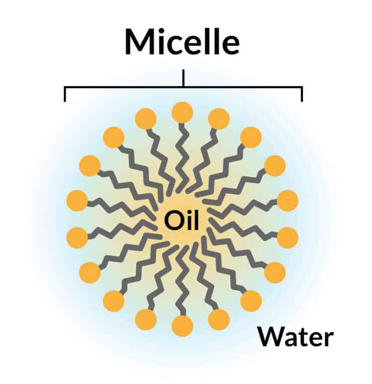 Surfactant mode of action