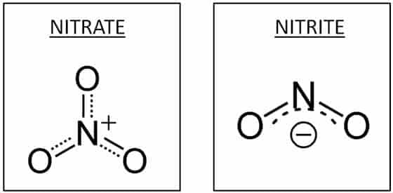 The Difference Between Sodium Nitrite and Sodium Nitrate