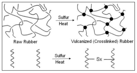 vulcanization 