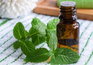 Application of menthol in medicine and pharmacy