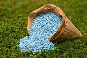 Applications of potassium sulfate fertilizer in agriculture