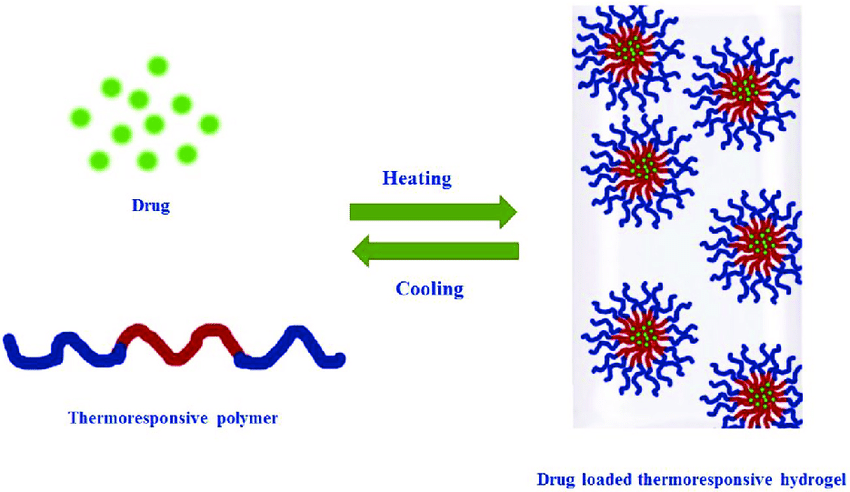 Thermoresponsive hydrogels: