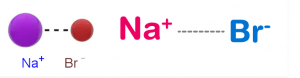 The spatial structure of sodium bromide