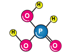 Chemical Structure Depiction of Phosphorous Acid 