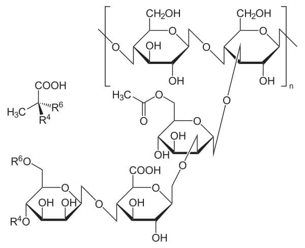 xanthan gum structure