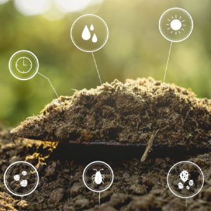 humic acid fertilizer